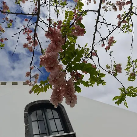 Apart-hotel Da Gale Caloura