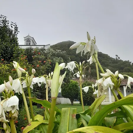 Apart-hotel Da Gale Caloura